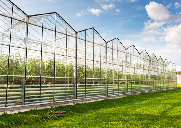 關(guān)于我們廣告 關(guān)于我們廣告