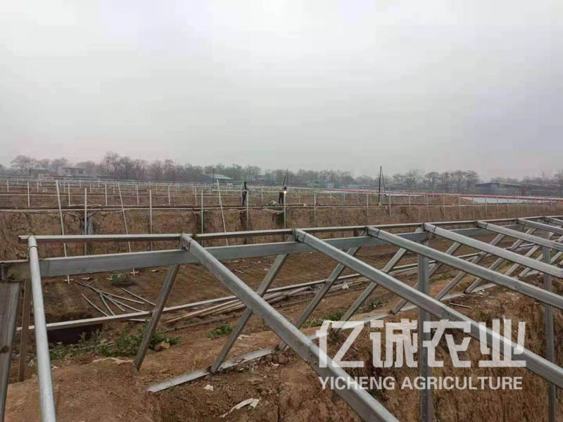 溫室大棚 溫室大棚