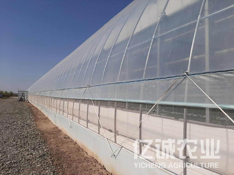 塑料多跨溫室 塑料多跨溫室