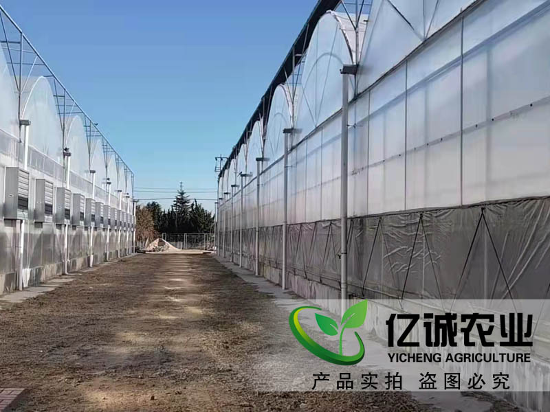 專業連棟溫室大棚