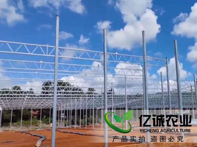 連棟玻璃溫室大棚