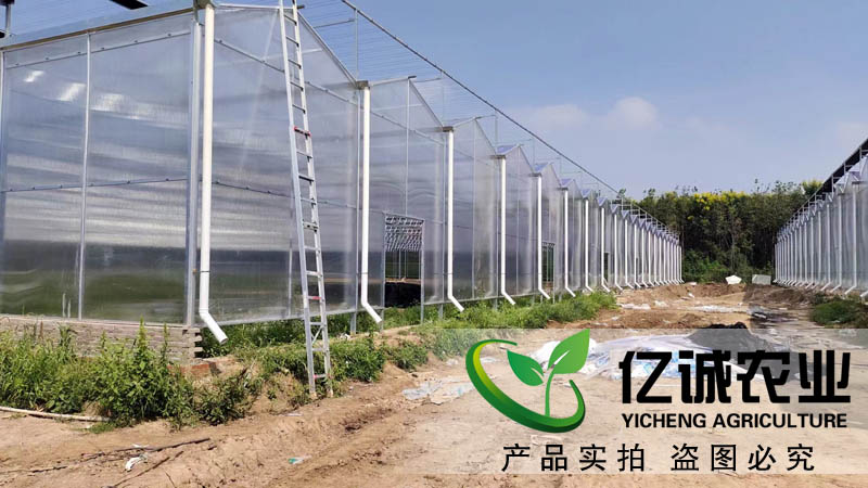 紋絡陽光板溫室