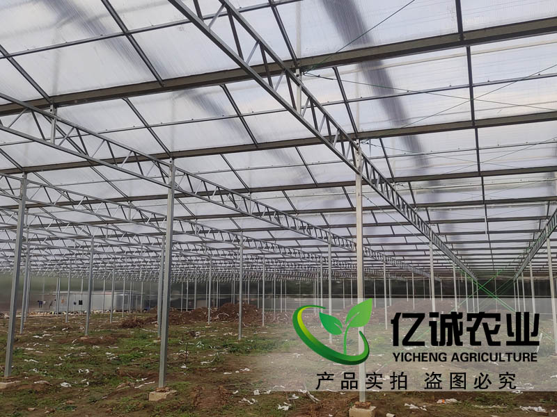陽(yáng)光板連棟薄膜溫室大棚