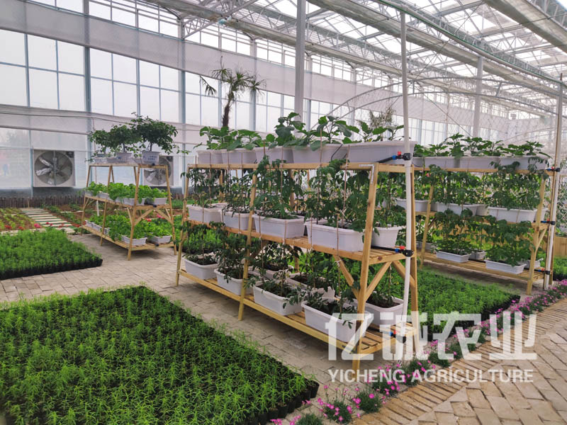 新型現(xiàn)代化智能溫室大棚 新型現(xiàn)代化智能溫室大棚