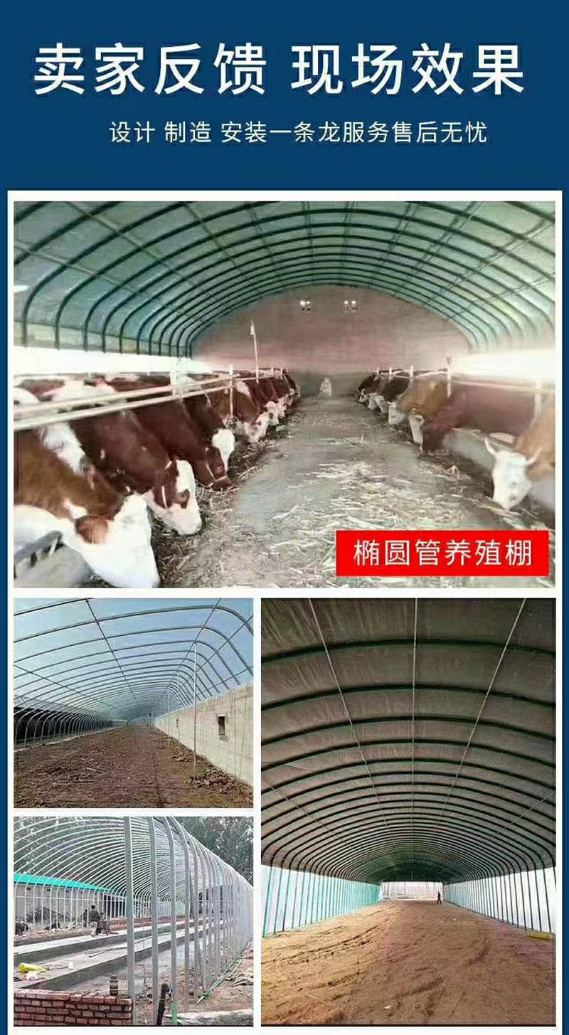 橢圓管養(yǎng)殖大棚