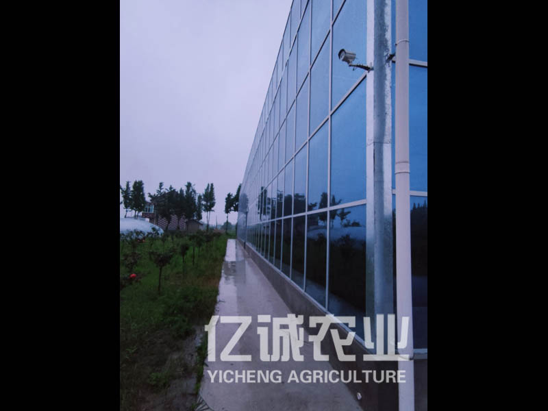 玻璃智能溫室大棚造價