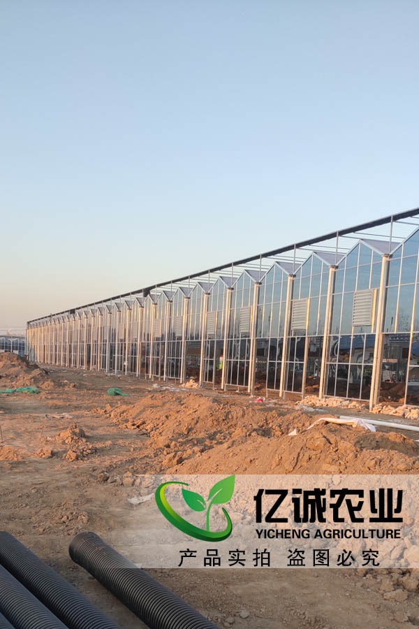 智能玻璃溫室 智能玻璃溫室