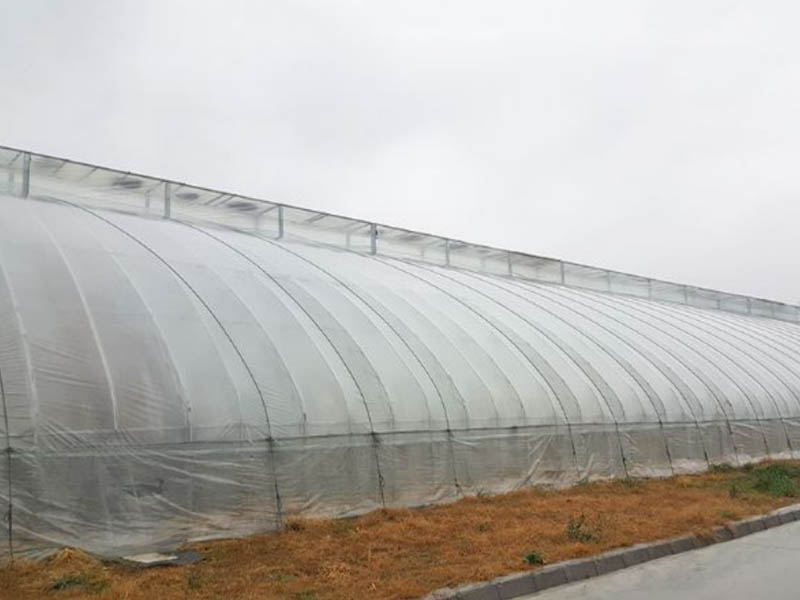 花梁日光溫室 花梁日光溫室